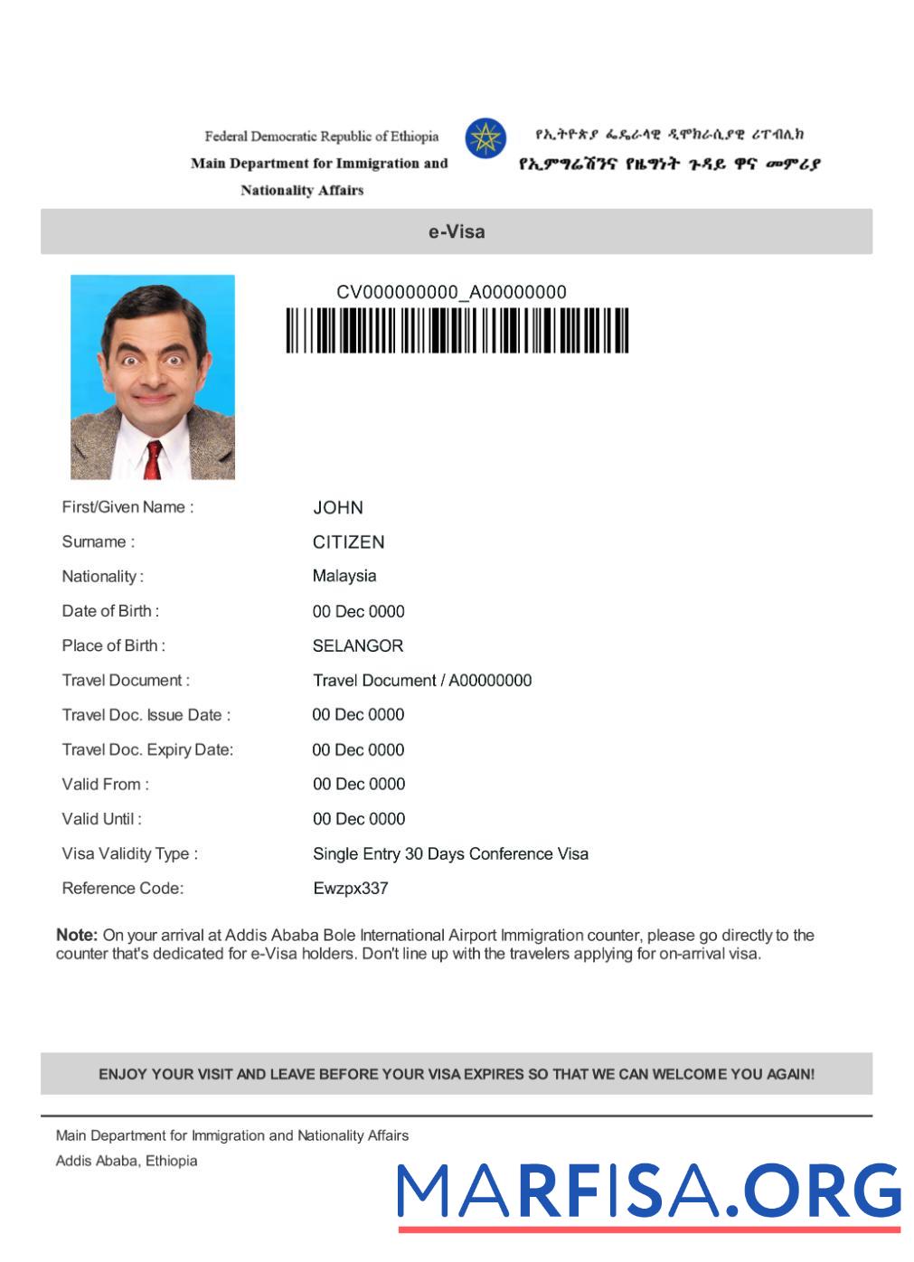 Downloadable Ethiopia e visa example